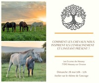 Les chevaux nous inspirent l'enracinement et l'instant présent